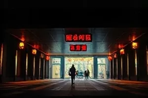 候鸟掠过湿地水面的封面画面